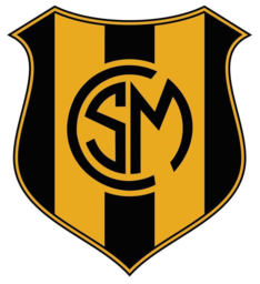 Remera Algodón